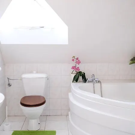 Hostel Vila Flora Prag