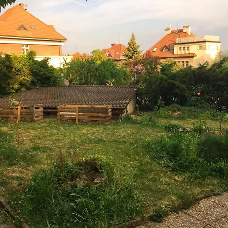 Vila Flora *