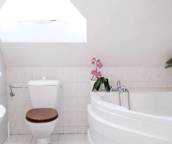 Hostel Vila Flora Πράγα