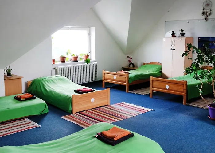 Vandrarhem Vila Flora *